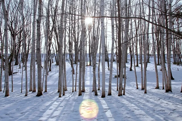 Travel view of Hokkaido, Japan